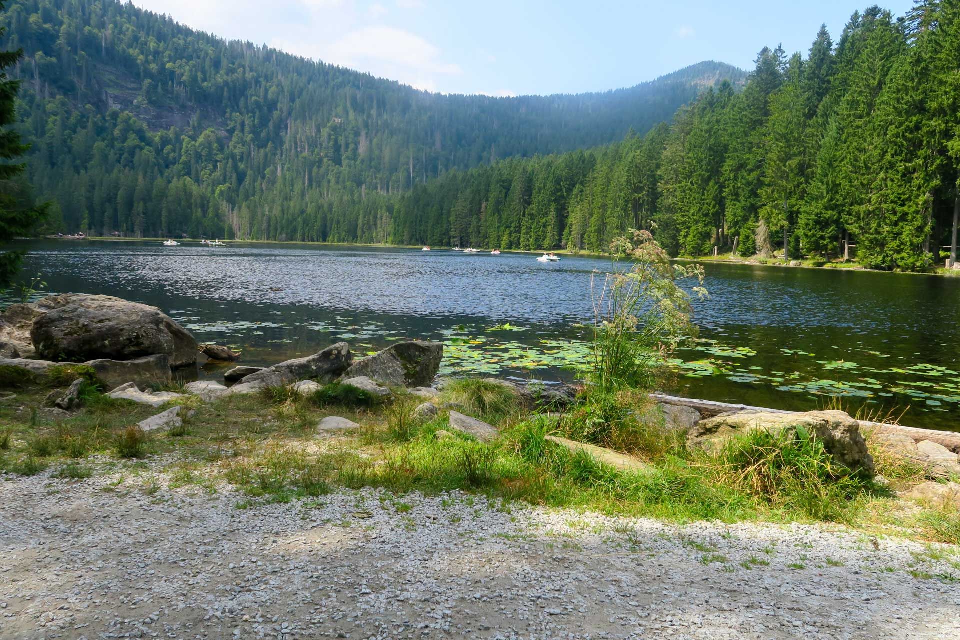 Dieser Weg im Vordergrund ist nur barrierearm im Hintergrund der Arbersee