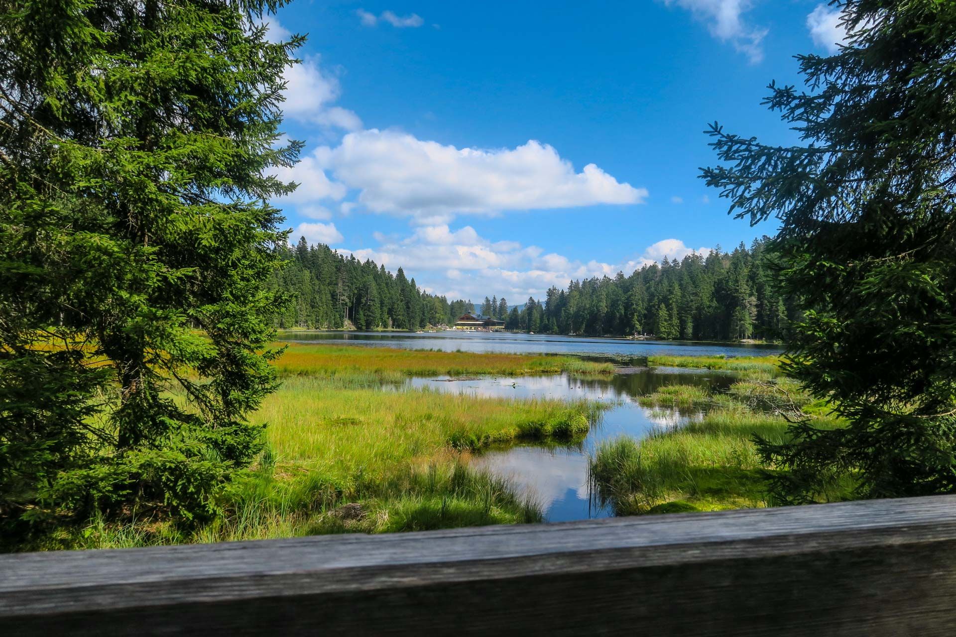 Blick von der barrierefreien Plattform über den See zum Arberseehaus