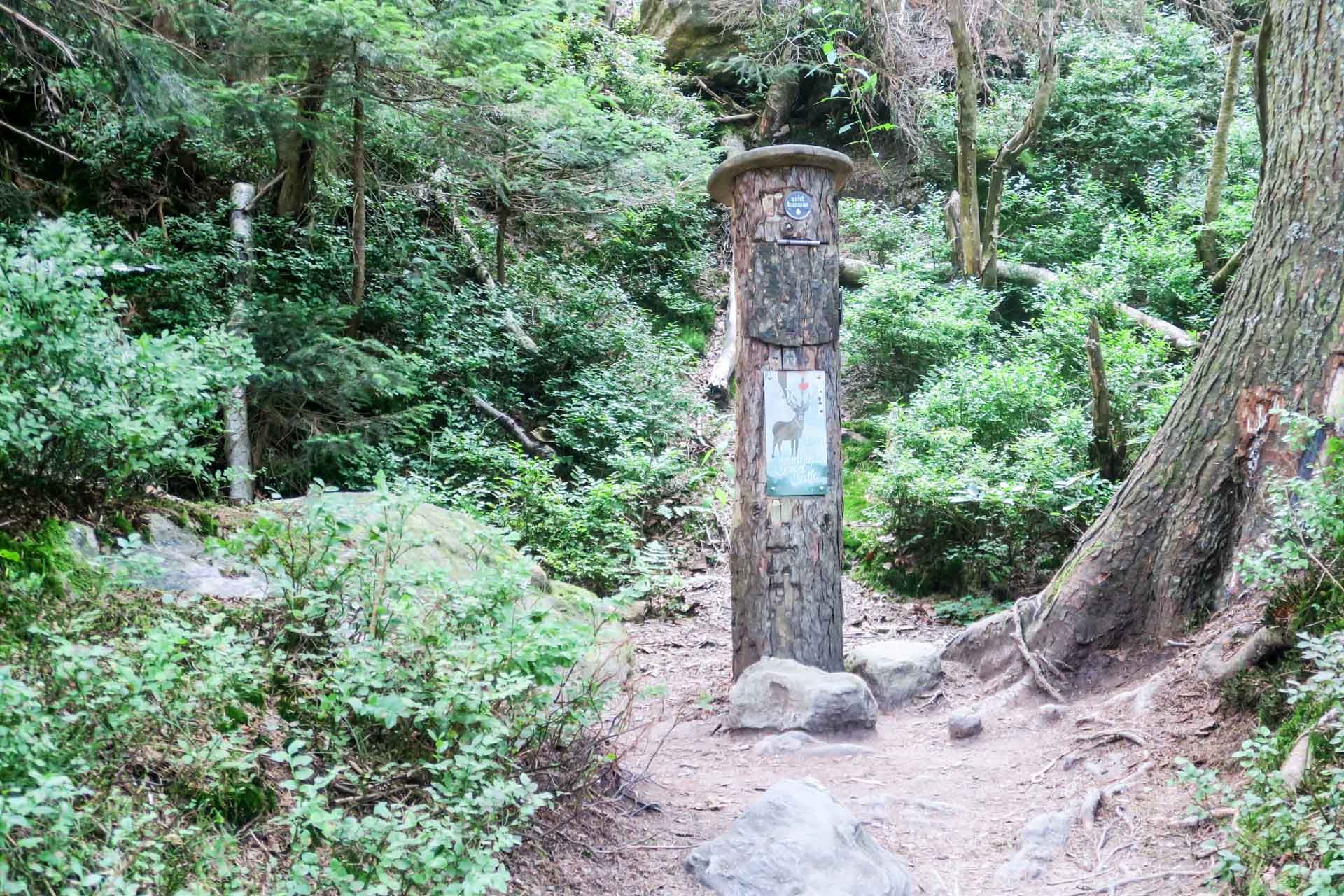 Eine Infostele aus Holz mit Hirschmotiv und Öffnungsklappe