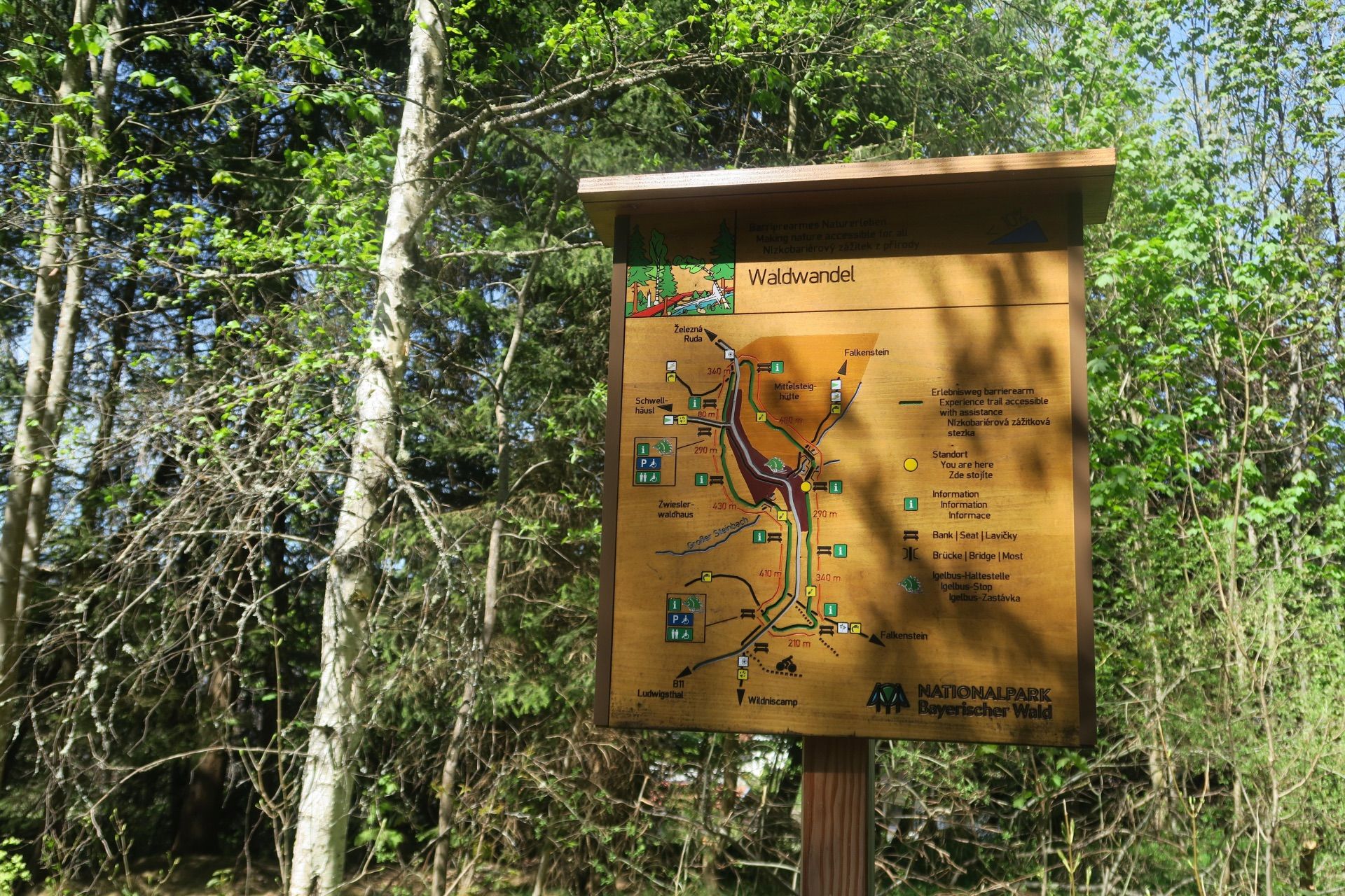 Infotafel über den Waldwandel