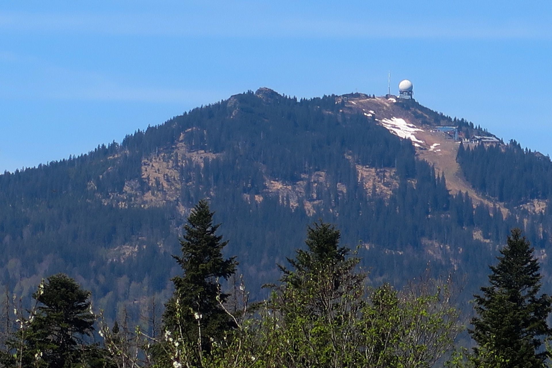 Blick zum Großen Arber mit Schneeresten