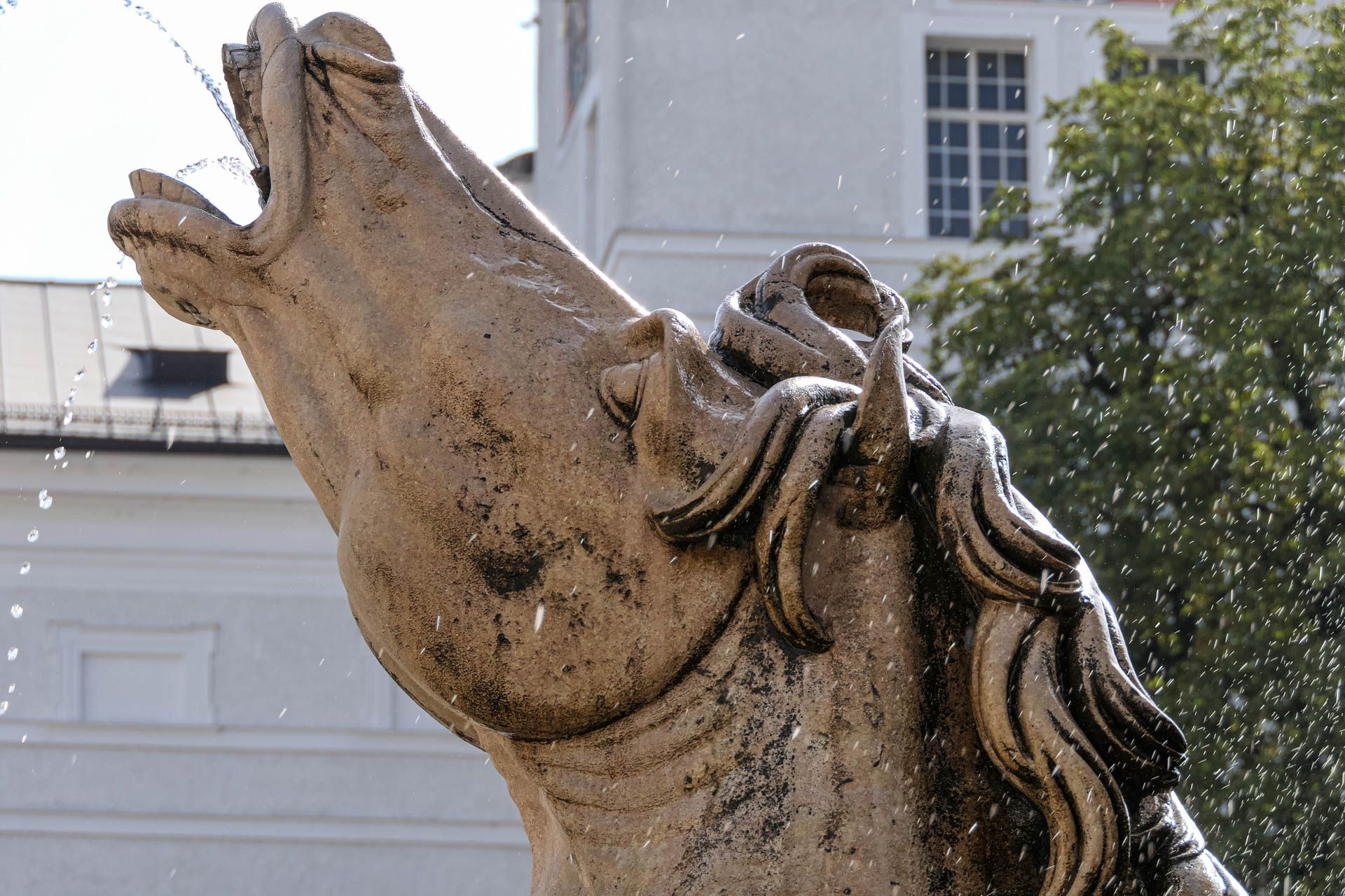 Pferdekopf als Springbrunnen